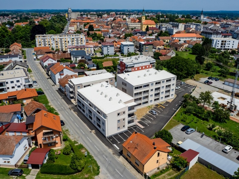 Bakaceva2024-17