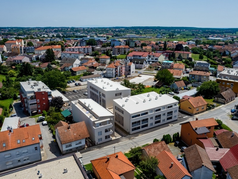Bakaceva2024-18
